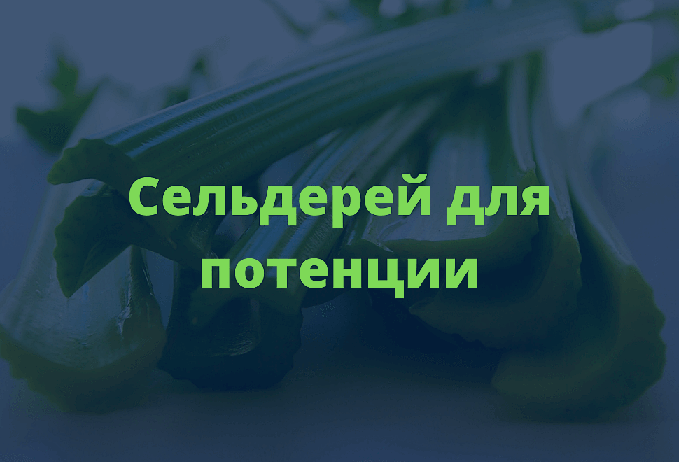 Сельдерей для потенции