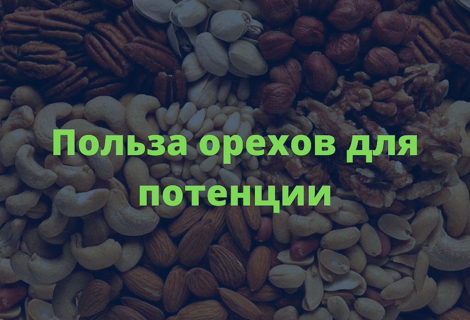 Польза орехов для потенции